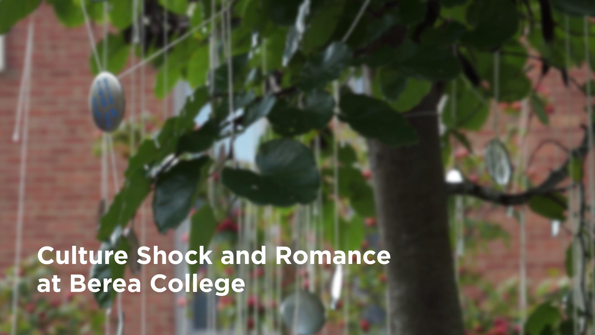 Culture Shock